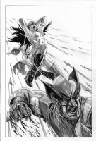 Dark Reign Elektra Cover